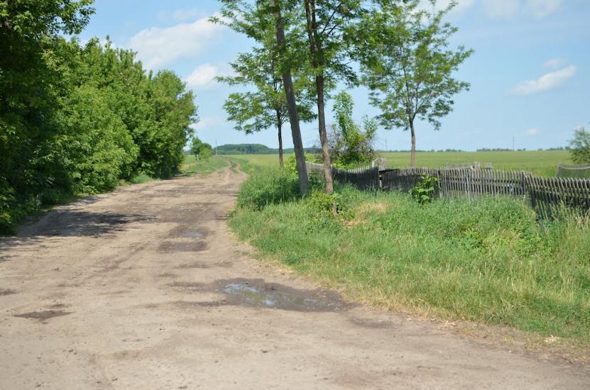 Вікторівка з panoramio.com - Вікторівка