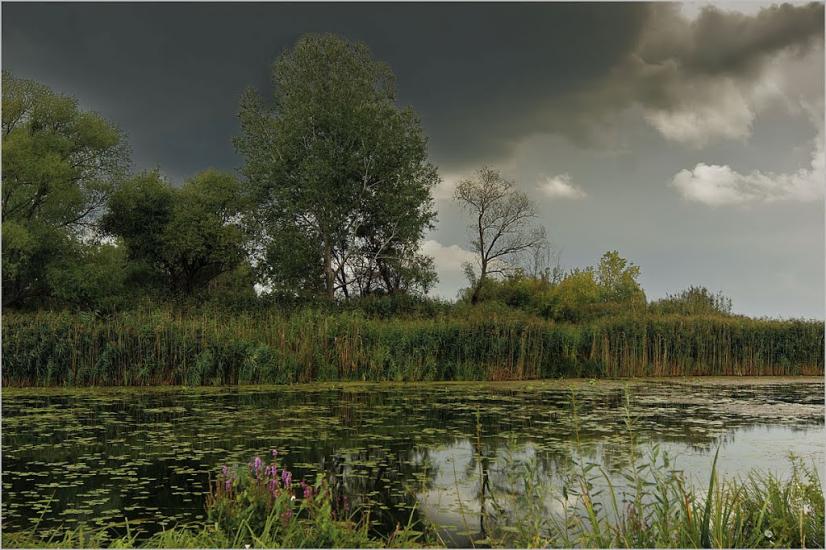 Оленівське з panoramio.com - Оленівське