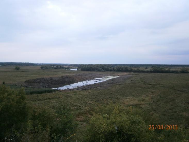 Берездівці з panoramio.com - Берездівці