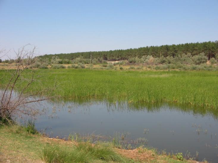 Надбузьке з panoramio.com - Надбузьке