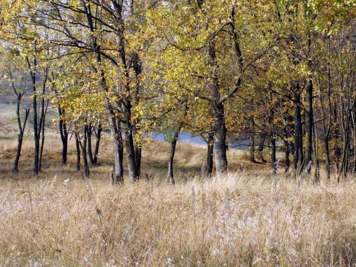 Люботин з panoramio.com (ч.2) - Люботин