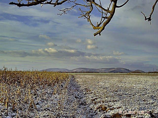 Вилок з panoramio.com - Вилок