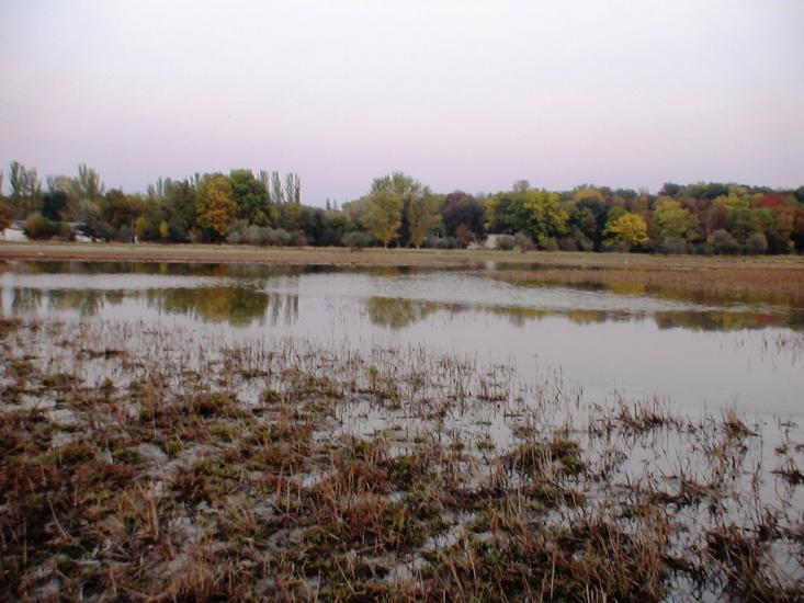 Роздольне з panoramio.com - Раздольное