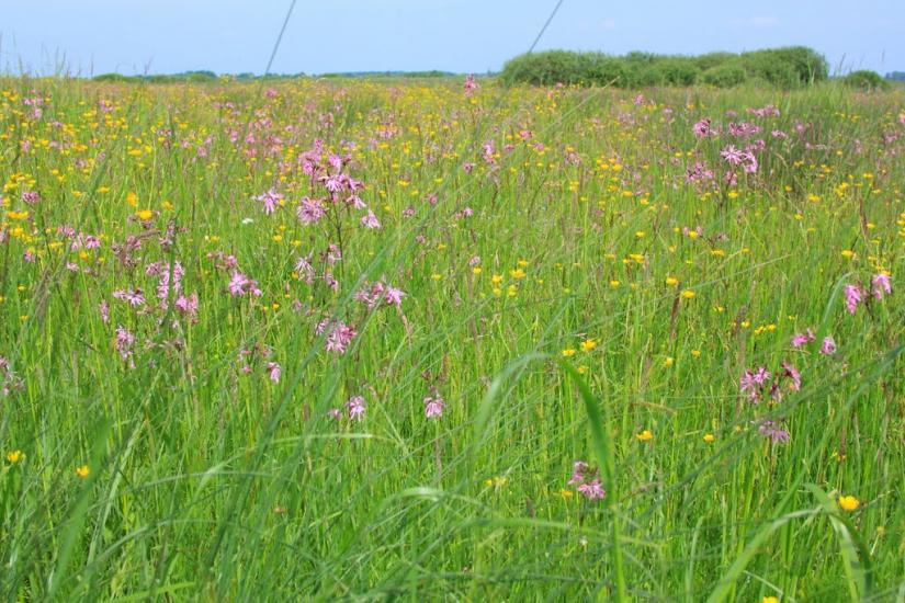 Кізлів з panoramio.com - Кізлів
