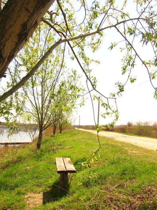 Надбузьке з panoramio.com - Надбузьке