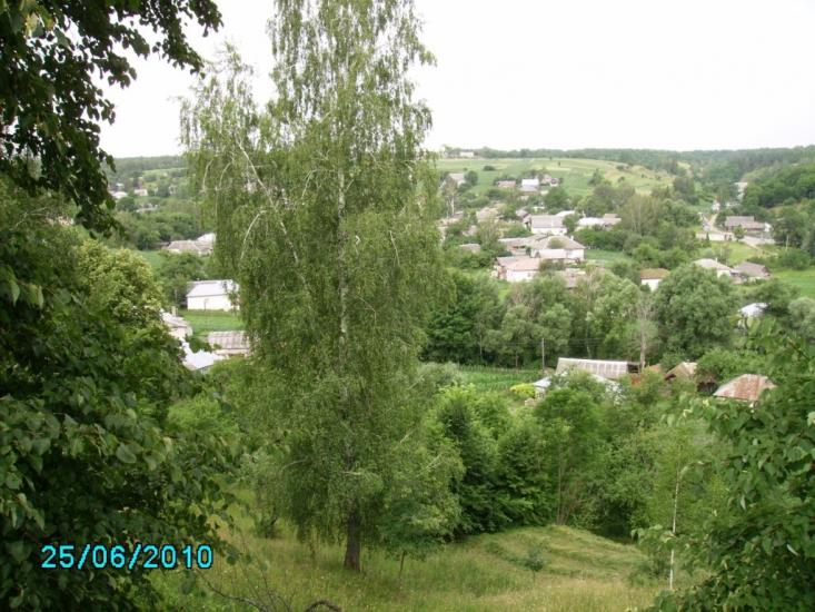 Радичів з panoramio.com - Радичів