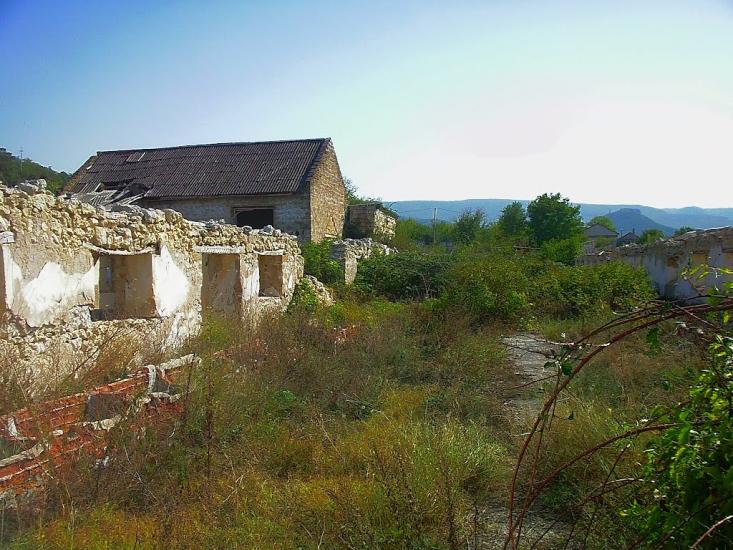 Красний Мак з panoramio.com - Красный Мак