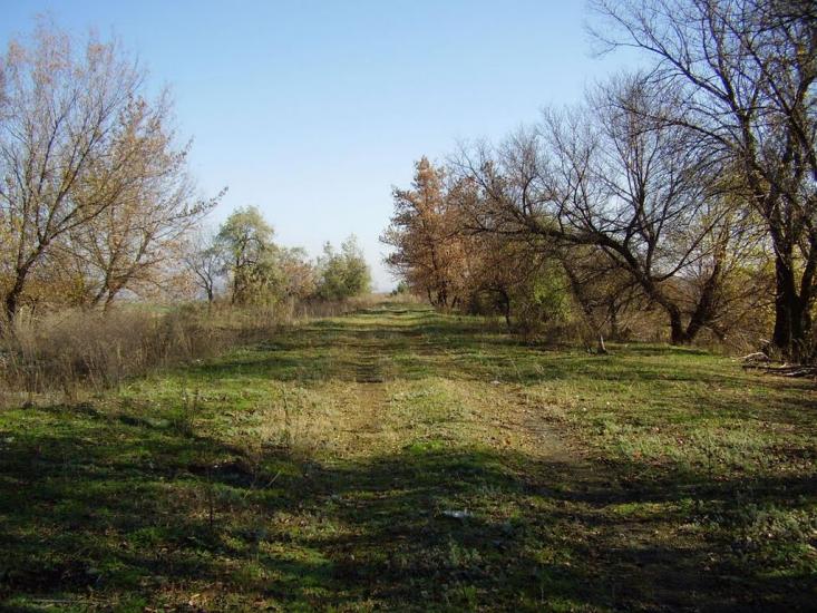 Кіровськ з panoramio.com - Кировск