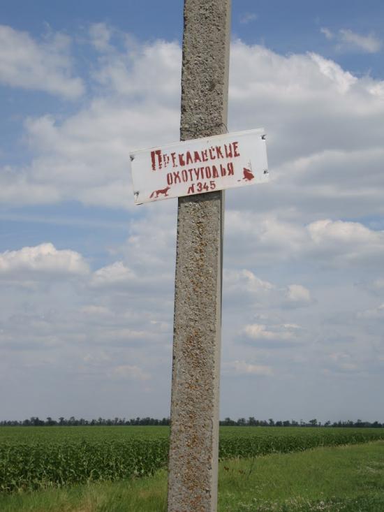 Орлівка з panoramio.com - Орлівка