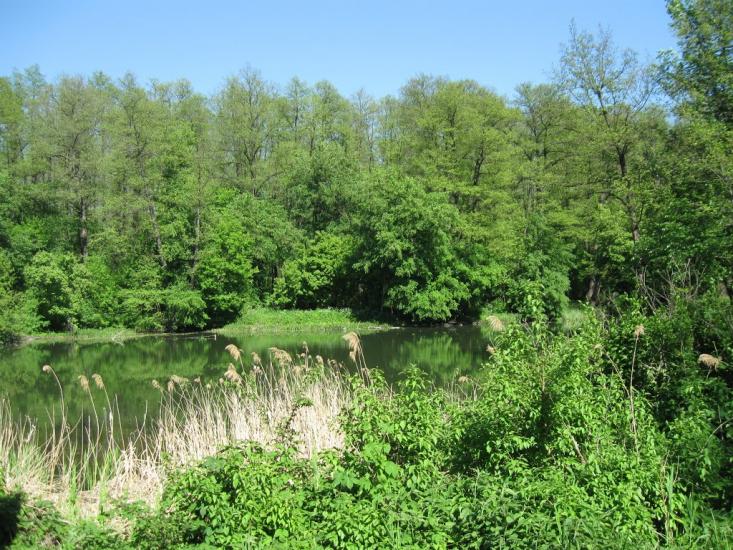 Ямпіль з panoramio.com - Ямпіль