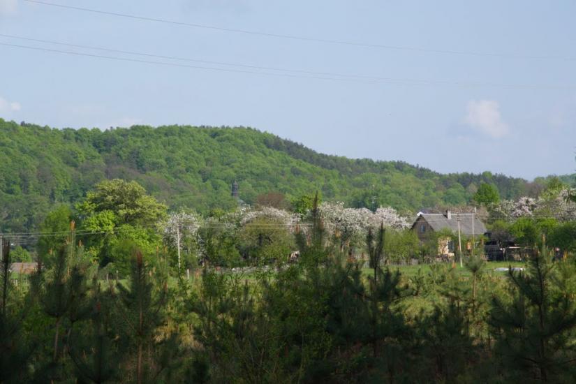 Козулька з panoramio.com - Козулька