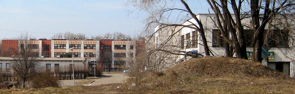 Зелений Гай з panoramio.com - Зеленый Гай