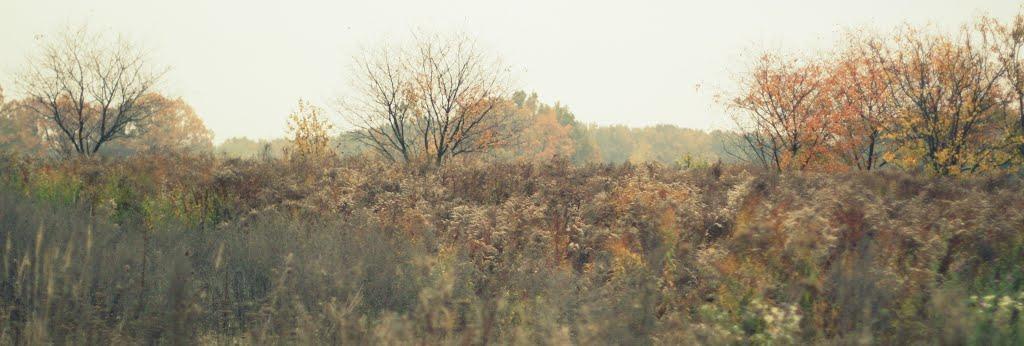 Баришівка з panoramio.com - Барышевка