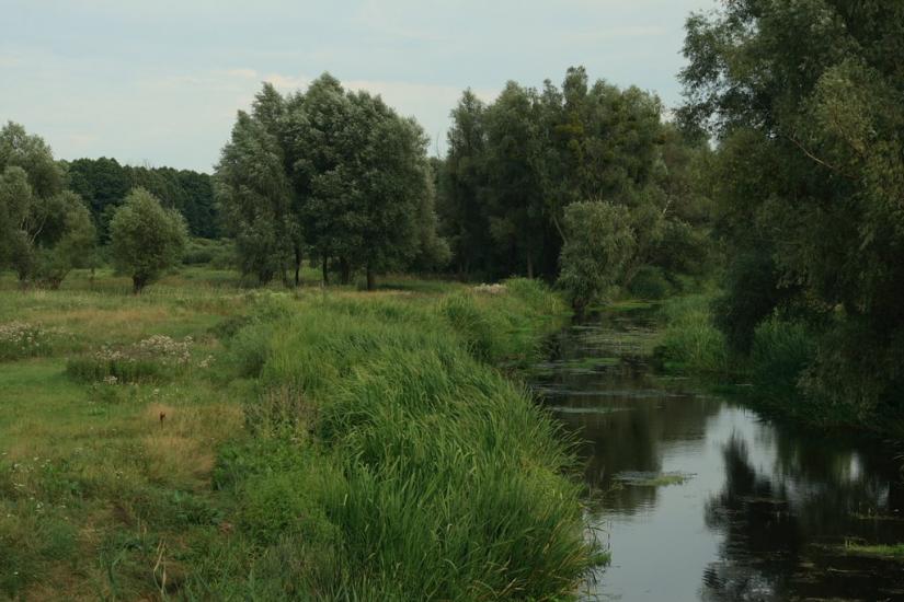 Деменці з panoramio.com - Деменці