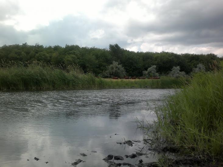 Львів з panoramio.com - Львов