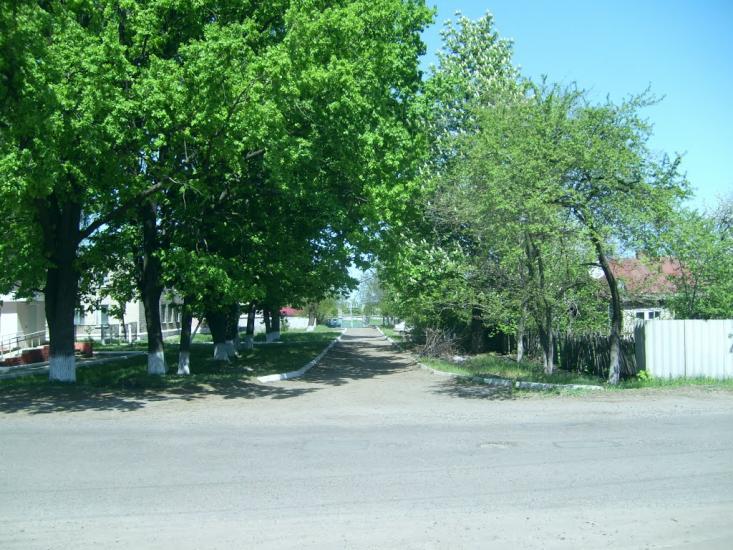 Шевченкове з panoramio.com - Шевченкове