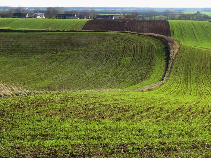 Корчів з panoramio.com - Корчів