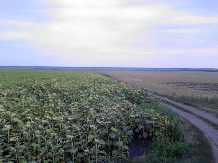 Мілова Балка з panoramio.com - Меловая Балка