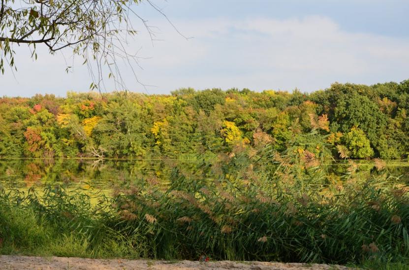 Попівка з panoramio.com - Поповка