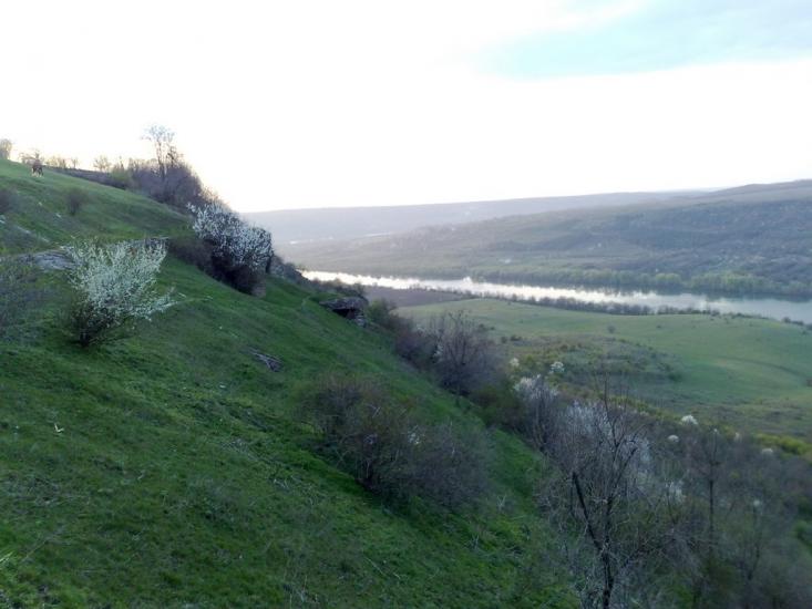 Олексіївка з panoramio.com - Алексеевка