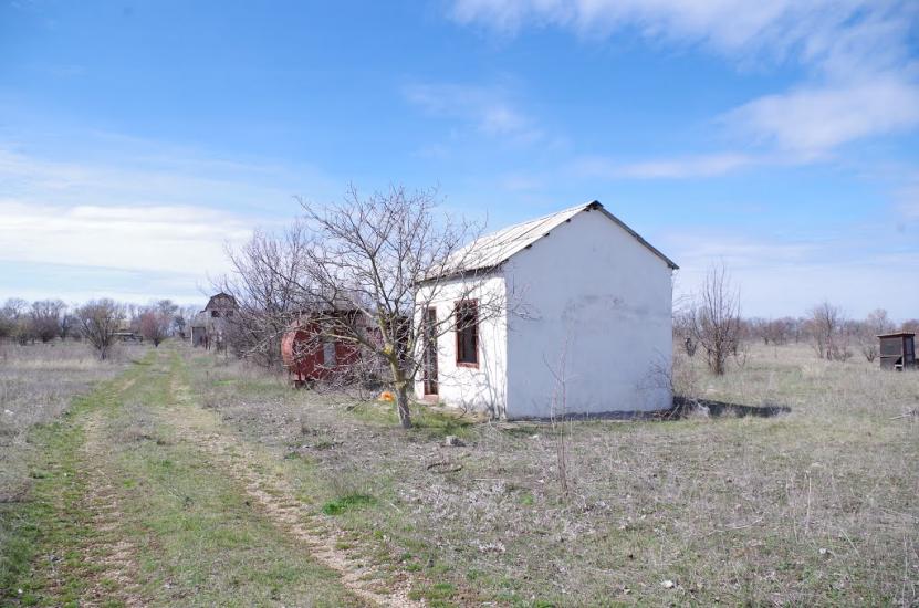 Новозбур'ївка з panoramio.com - Новозбур'ївка