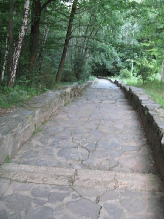 Карпати з panoramio.com - Карпаты