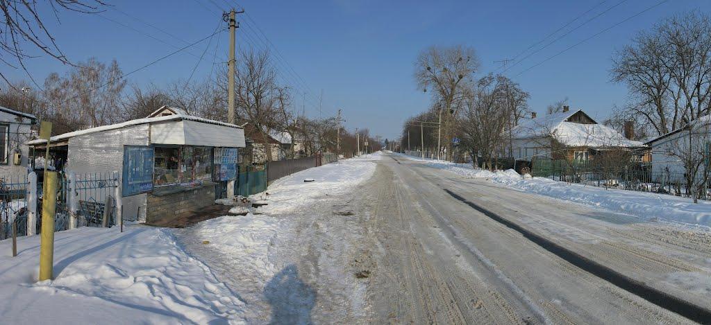 Олександрівка з panoramio.com - Александровка