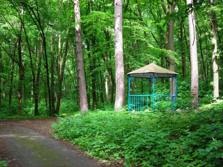 Будище з panoramio.com - Будище