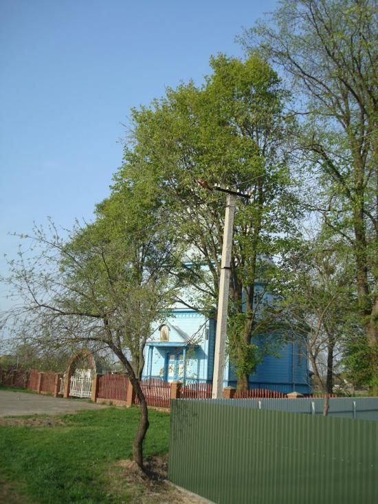 Дроздні з panoramio.com - Дроздні