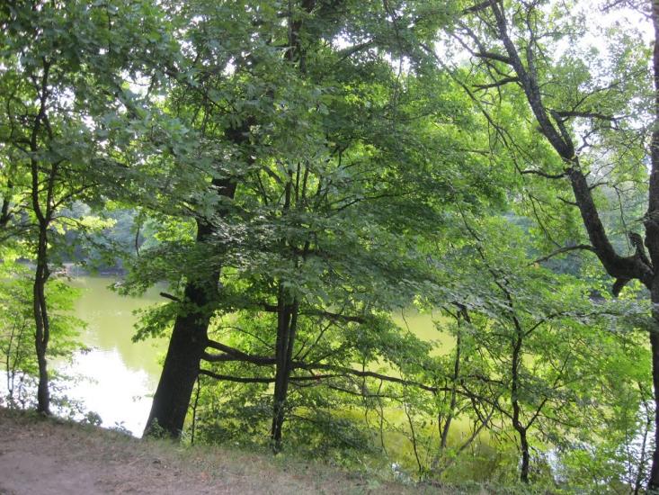 Рибальське з panoramio.com - Рибальське