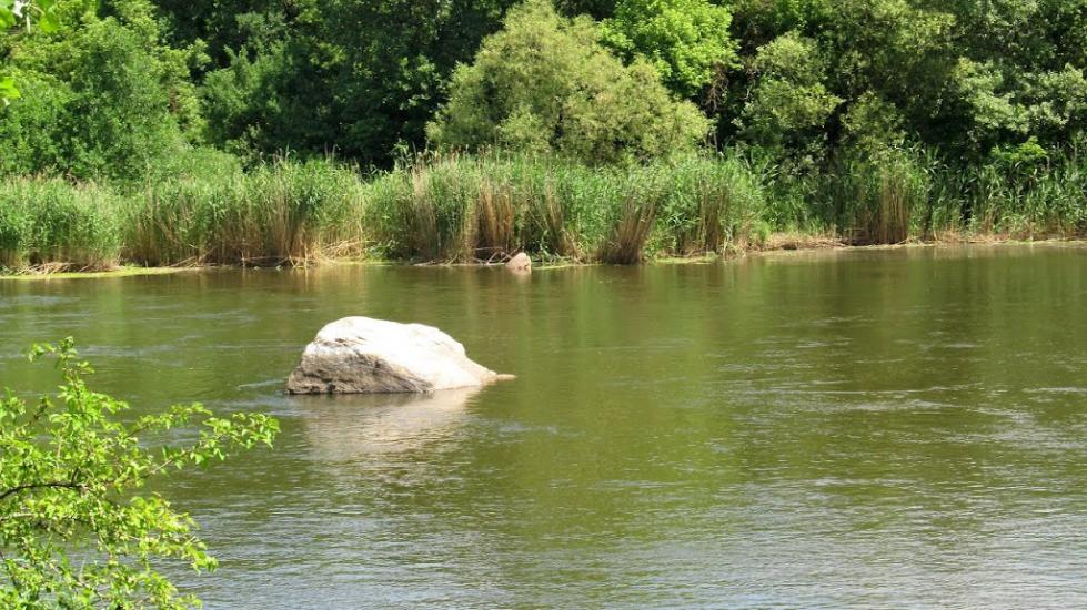 Куріпчине з panoramio.com - Kuripchyne