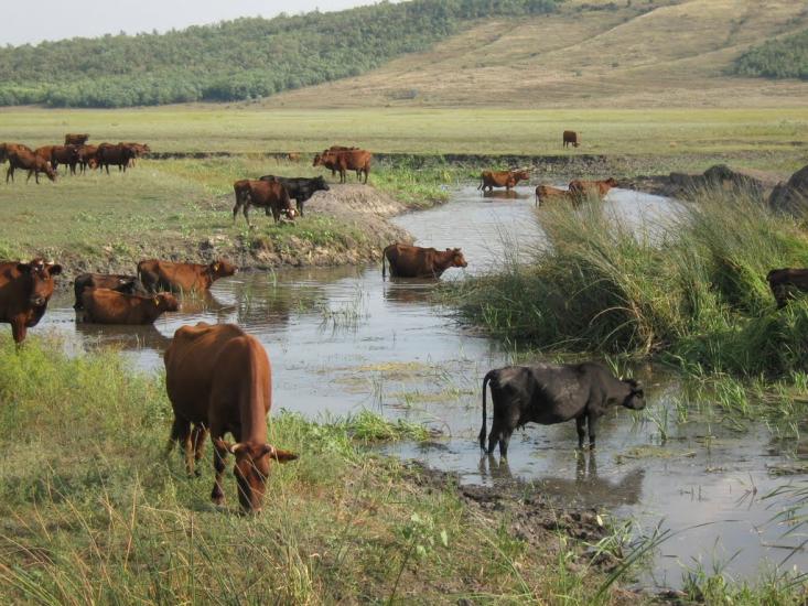 Демидове з panoramio.com - Демидово