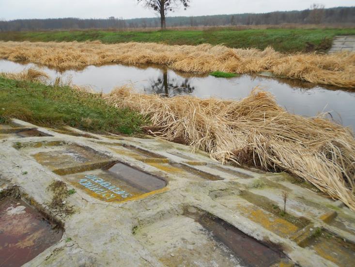 Деменці з panoramio.com - Деменцы