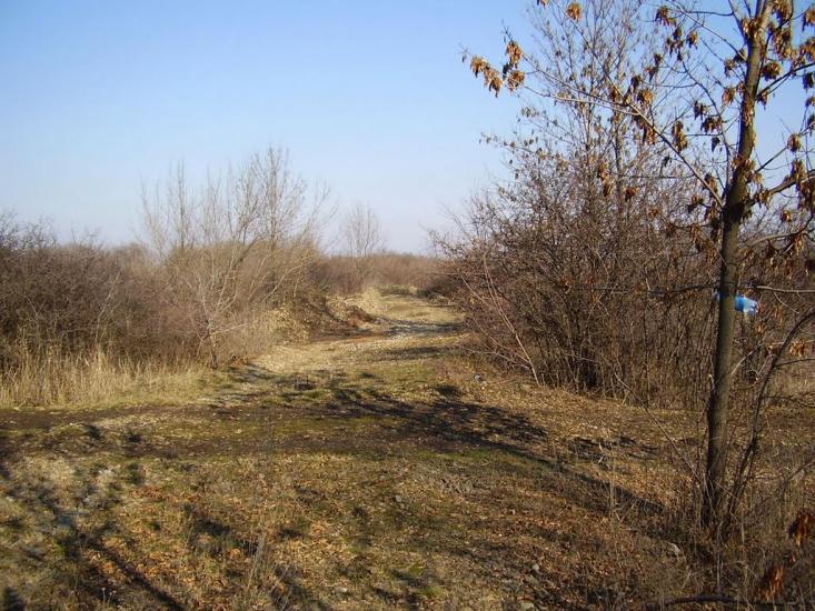 Весняне з panoramio.com - Весняное