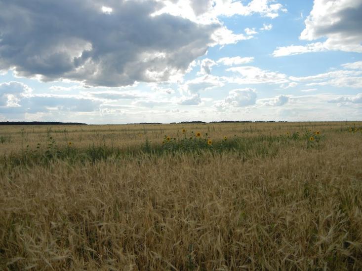 Введенка з panoramio.com - Введенка