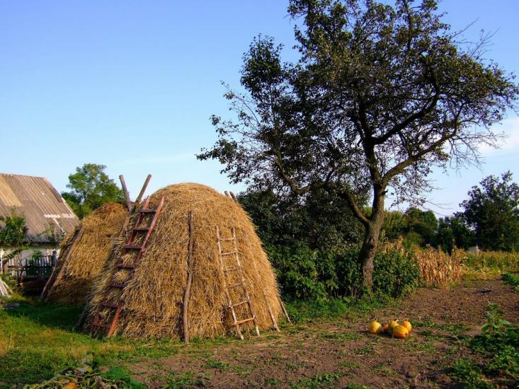 Острів з panoramio.com - Острів