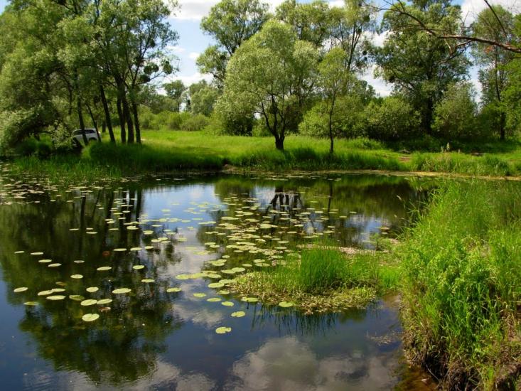 Кукулівка з panoramio.com - Kukulivka