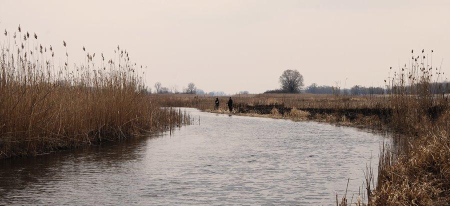 Свидівок з panoramio.com - Свидовок