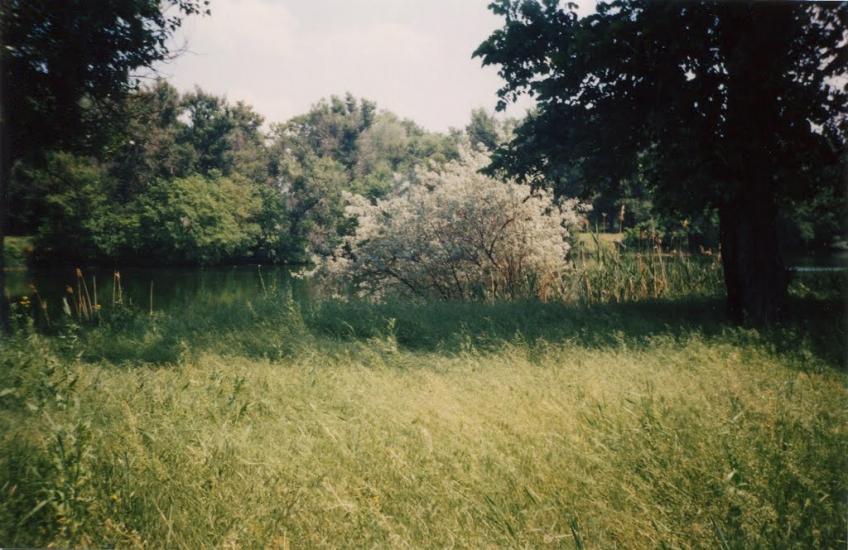Марганець з panoramio.com - Marganets