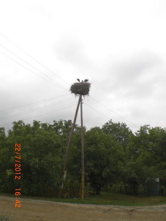 Підвальне з panoramio.com - Підвальне