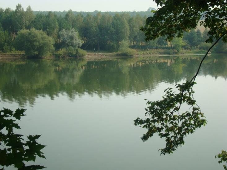 Кокошинці з panoramio.com - Кокошинці