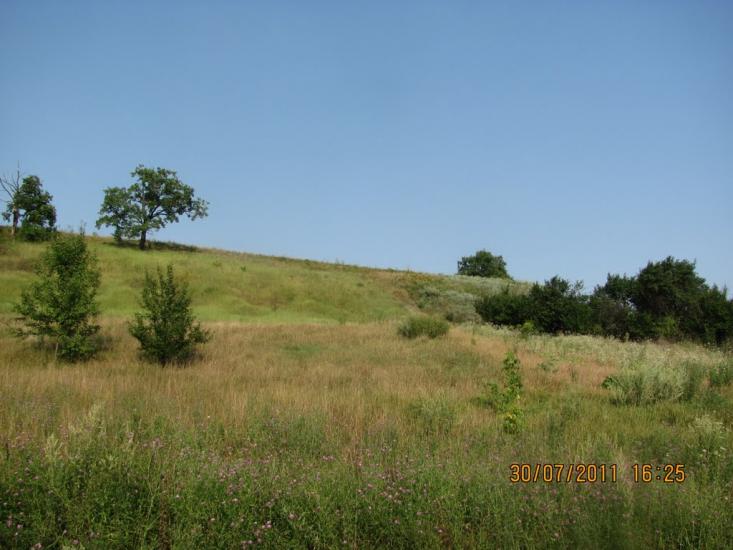 Кунцеве з panoramio.com - Кунцеве