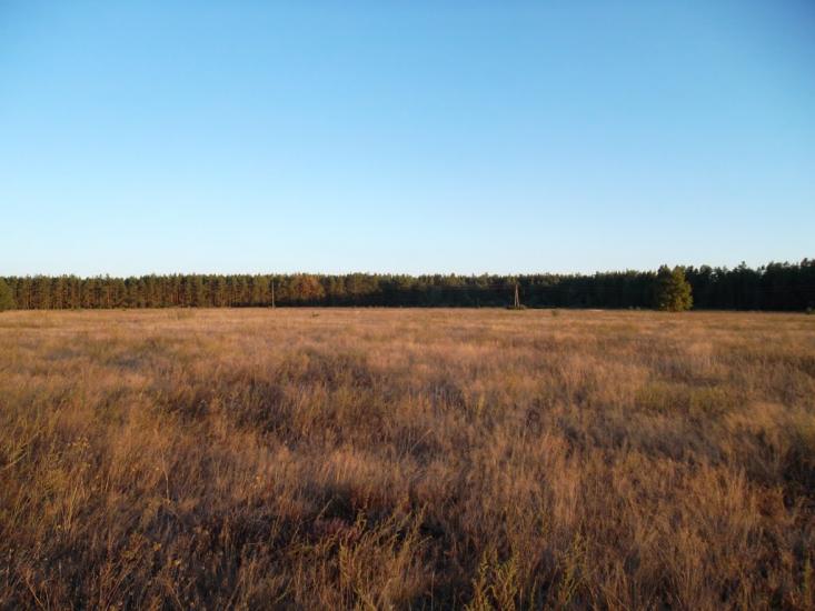 Ялцівка з panoramio.com - Ялцовка