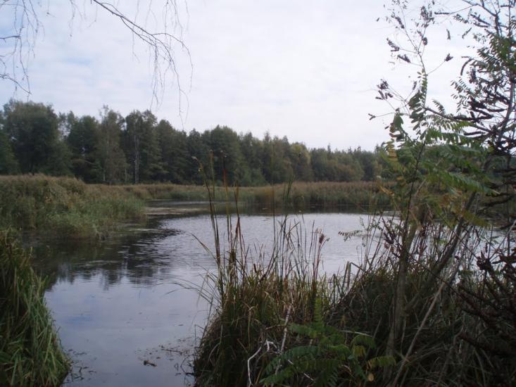 Ковалин з panoramio.com - Ковалин