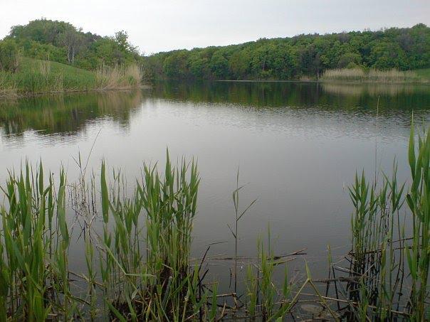 Старовишневецьке з panoramio.com - Старовишневецьке