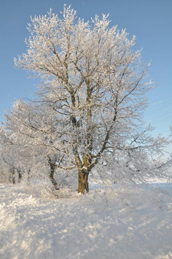 Бужанка з panoramio.com - Бужанка