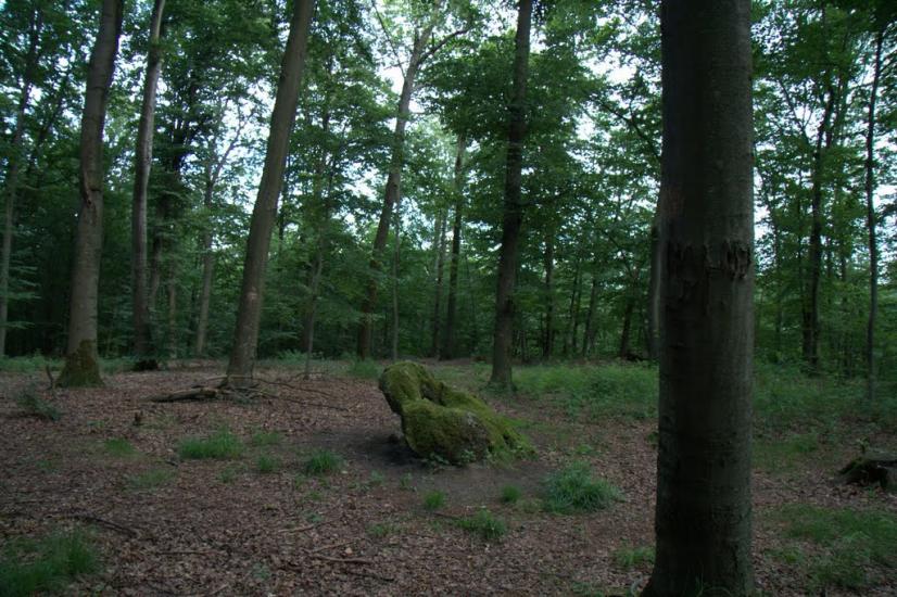 Дев'ятир з panoramio.com - Девятир