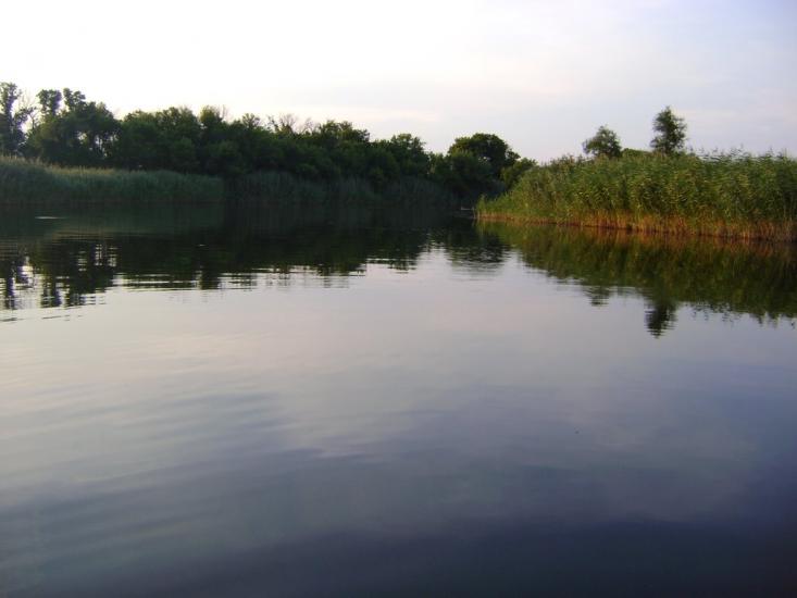 Комар з panoramio.com - Komar