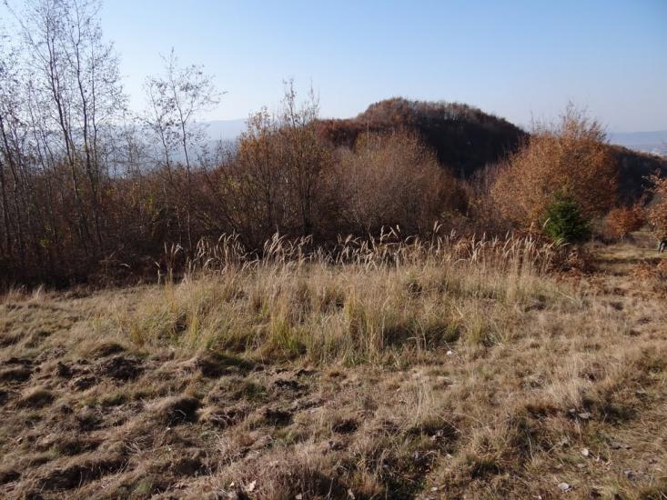 Біла Церква з panoramio.com - Біла Церква