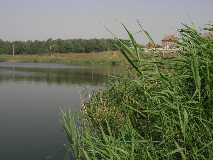Інгулець з panoramio.com - Інгулець